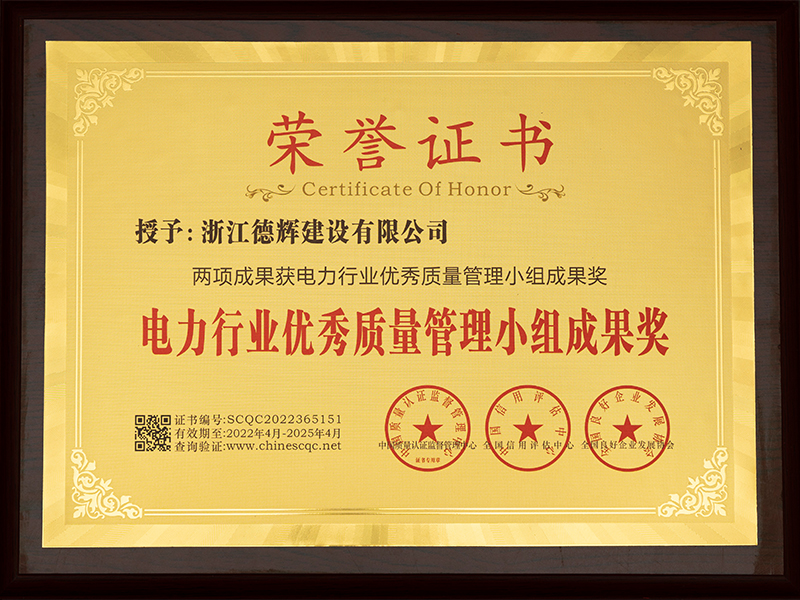电力行业优秀质量管理小组成果奖
